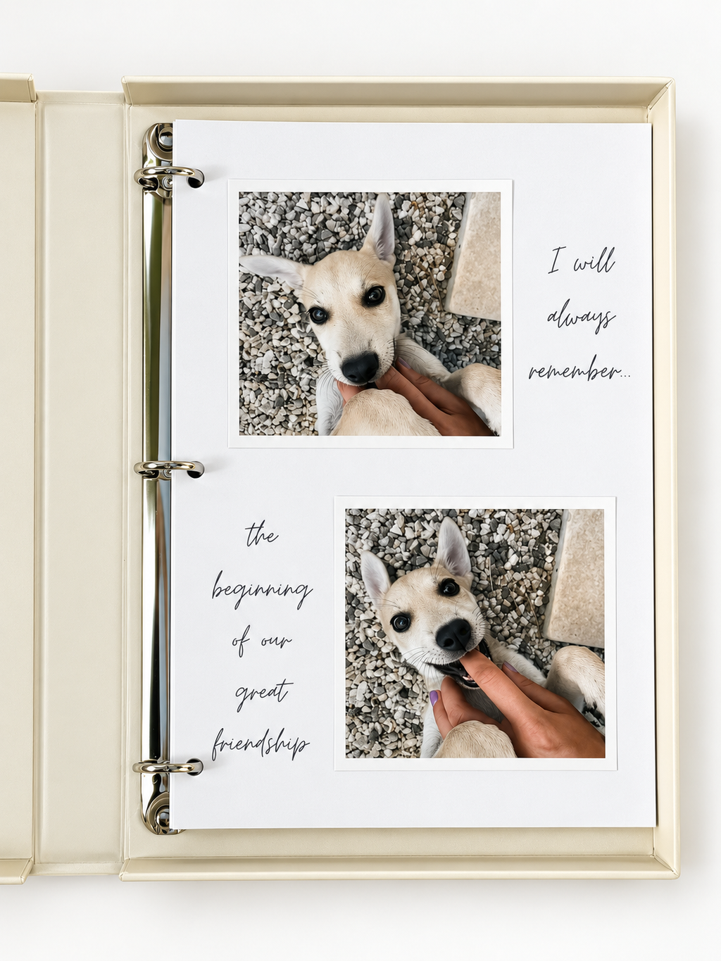 Hundealbum, Hunde Fotoalbum, thats just my baby dog, A Dogs Life, Photo Album Dog, Fotoalbum für Hunde, Geschenk für Hundebesitzer